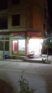 ارزانسرای دوقلوها