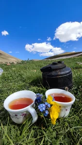 لبنیاتی مرقوب اوغلؽ