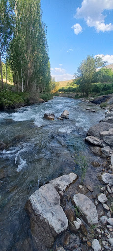 ونایی
