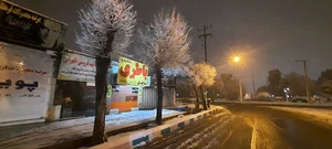 میدان امام رضا(ع)