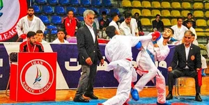 فدراسیون کاراته ایران