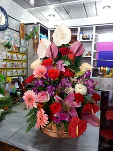 گلکده عروس