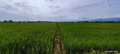 روستای خلیفه محله