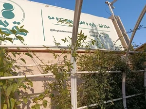 دکتر مقدس 2