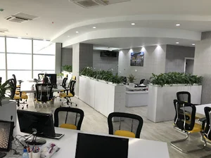 MAFI GROUP