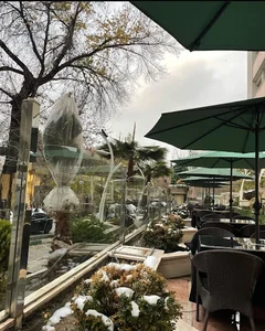 Green Lounge