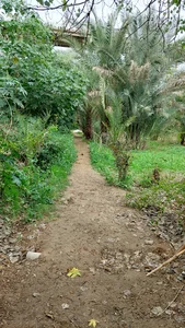 اداره‌ ورزش و جوانان