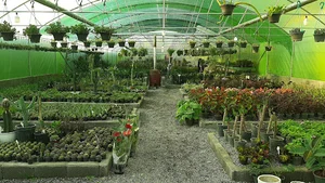 گلخانه نیلوفر آبی