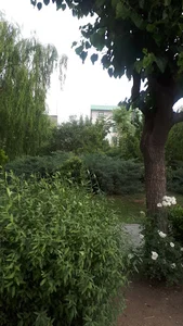 بوستان عزیزی