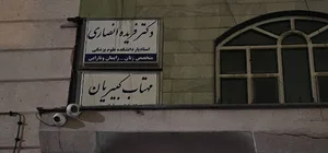 دکتر فریده انصاری