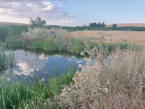 روستای خلج