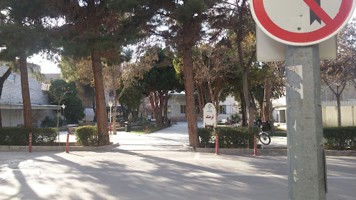 خانه فرهنگ شهرداری