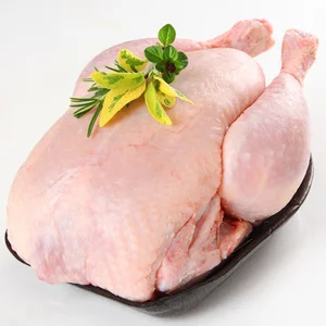 سوپر گوشت و ماهی سرای آریا(وحید) 2