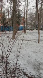 بوستان مجیدیه