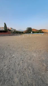 باشگاه سوارکاری سلام