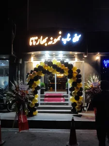 توسعه مهندسی آرلی