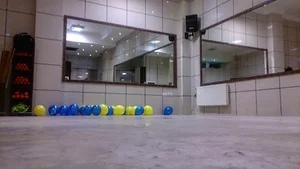 باشگاه ورزشی میلان