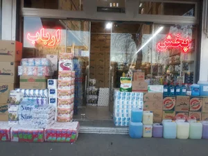 پخش شوینده بهداشتی ارباب