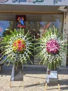 گلفروشی اطلسی