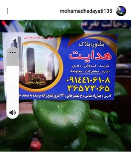 املاک هدایت 2