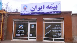 بیمه ایران؛ نمایندگی دکتر ناطقی