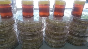 عسل فروشی سلطان بیگی
