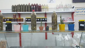 آرتا