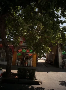 خواربار فروشی 2