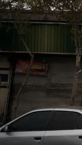 شاهین یدک