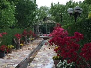 باغ درخشان