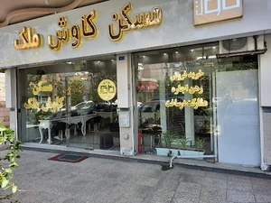 مسکن کاوش ملک
