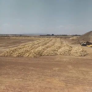 آجر فشاری