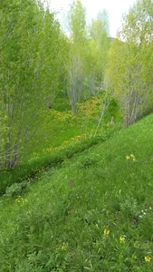 روستای آلچه شلاق