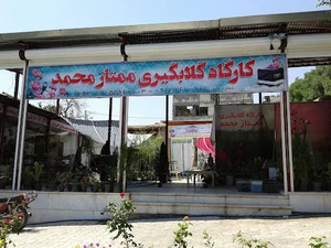 گلاب ممتاز محمد