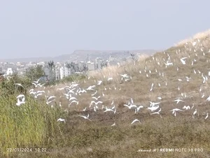 تصفیه خانه آب دانشگاه محقق اردبیلی