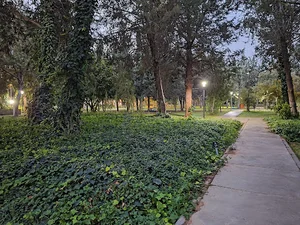 دانشگاه صنعتی شیراز
