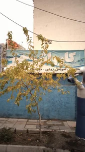 کارواش جم 4
