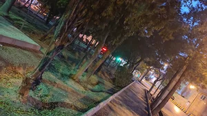 پارک حاج یاسر بردسکنی