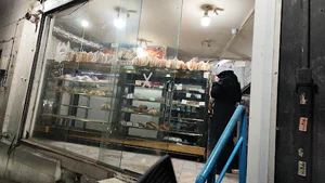 نان فانتزی حامد