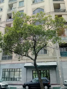 مجتمع مسکونی دانشگاه تهران