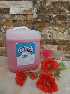 شوینده بهداشتی مهسان_دلیشا