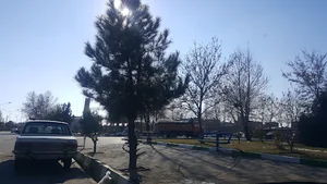 بوستان سبز