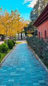 موزه مهر و سکه 5