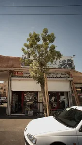نصب ضبط، باند، دزدگیر