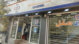 موسسه اعتباری ملل