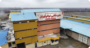 شرکت هرم طلایی شرق