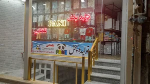 تولیدی پوشاک پانی