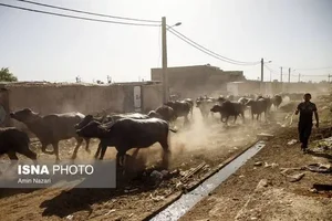 فروشگاه لباس جوانه