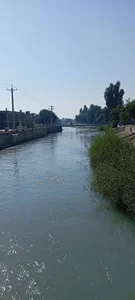 ساحل پل شاور 2