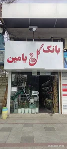 گل فروشی بانک گل یامین